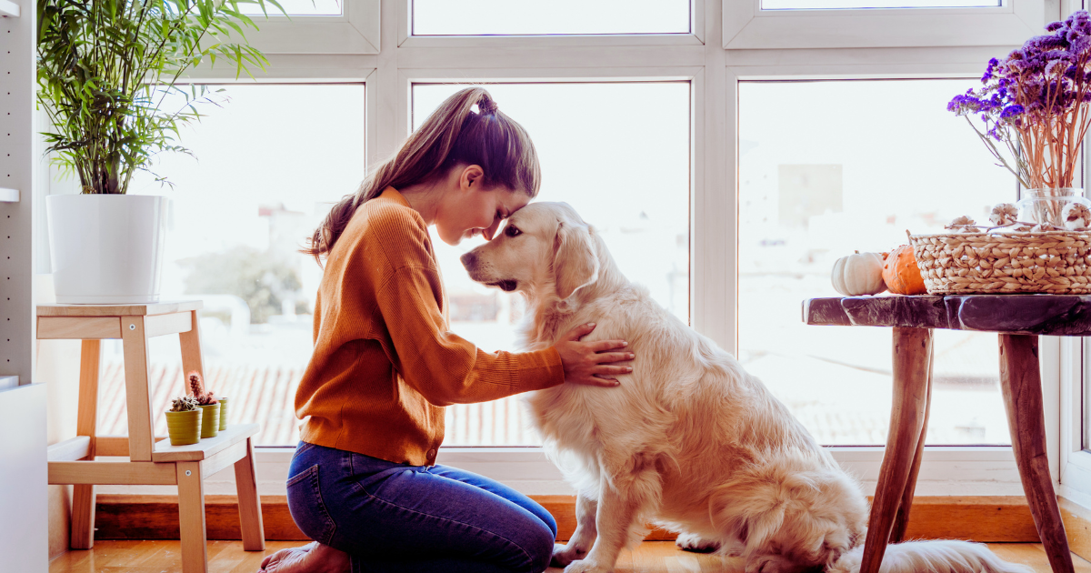 How to Stop Your Dog from Peeing in the House