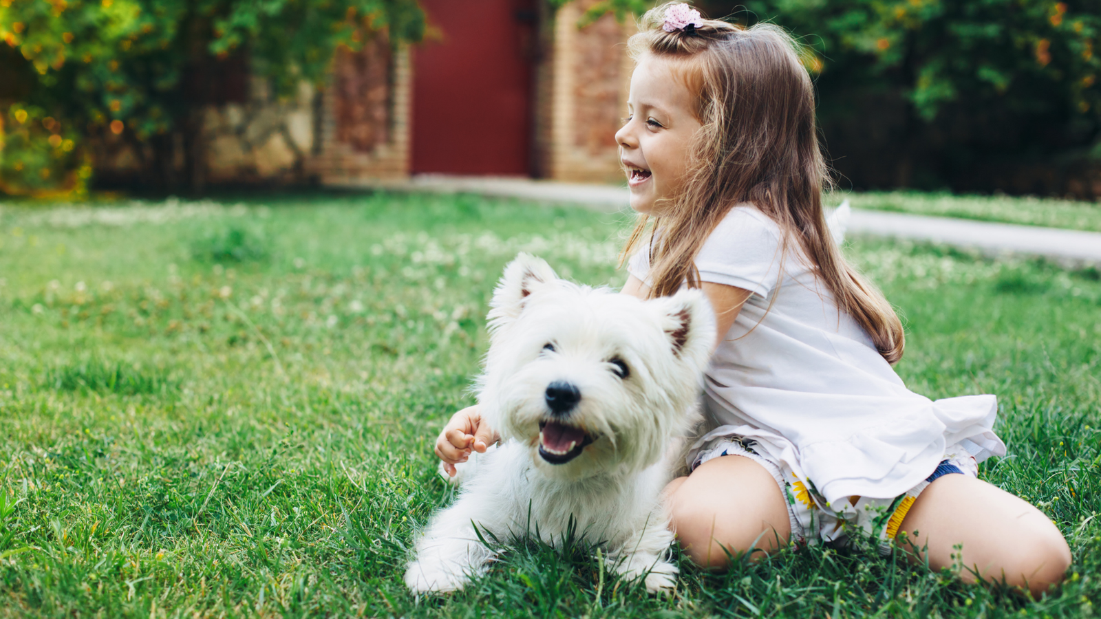 Why Do Dogs Play with Their Food?